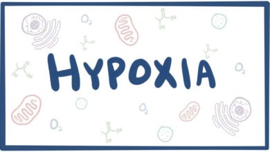 types of hypoxia