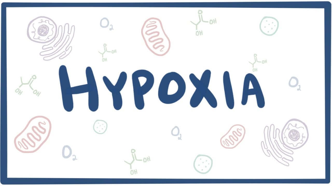 types of hypoxia