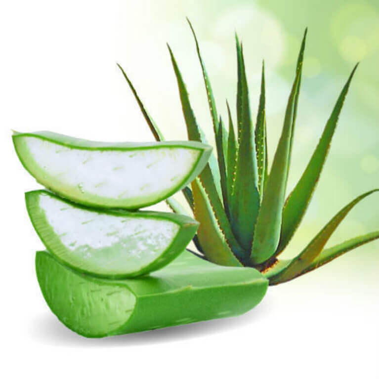 How to get rid of old scars by aloe vera gel