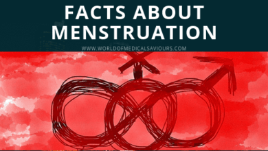 Facts about menstruation_woms