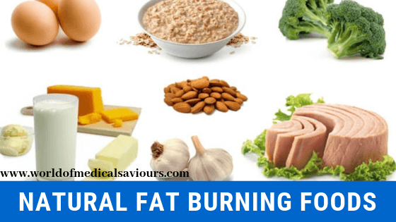 natural fat burning foods-woms