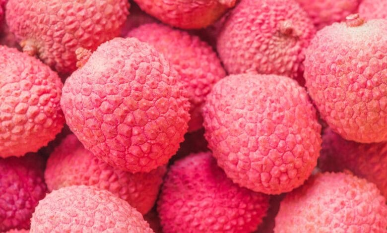 Why children die eating litchi?