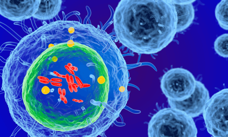 5 Ways to Naturally Boost Your Immune System
