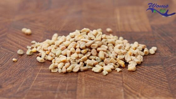 Fenugreek seeds or oil