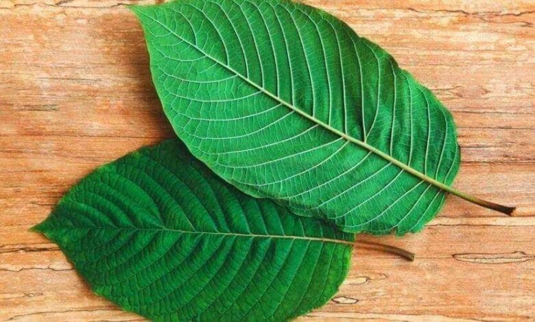 Best Kratom for Depression