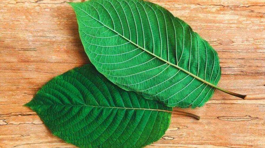 Best Kratom for Depression