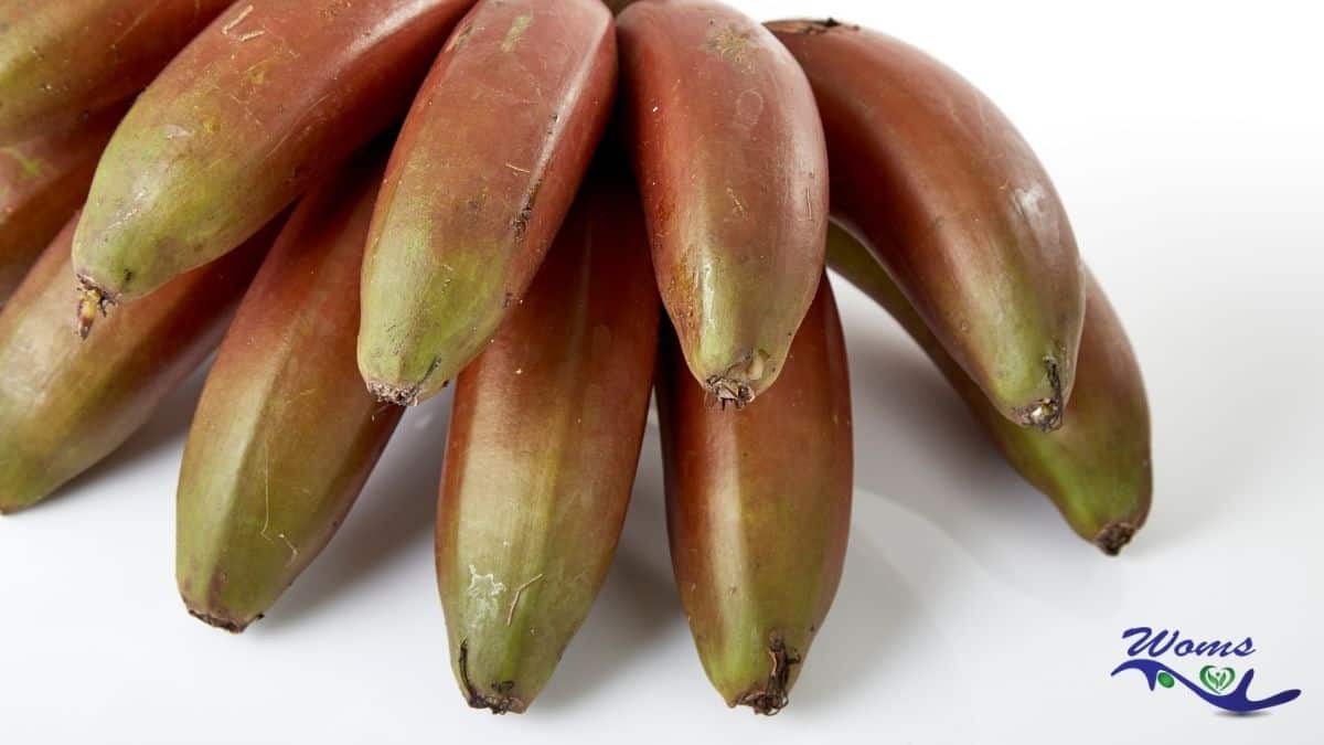 Health-benefits-of-red-bananas