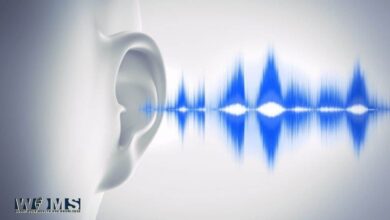Tinnitus Retraining Therapy - TRT