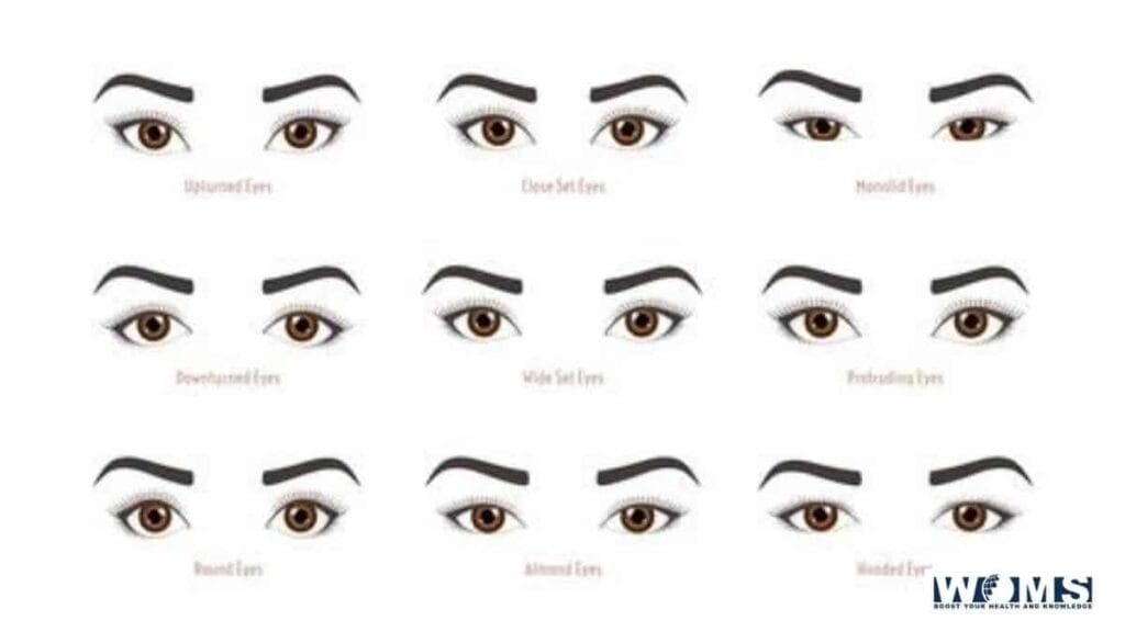 all different eye shapes