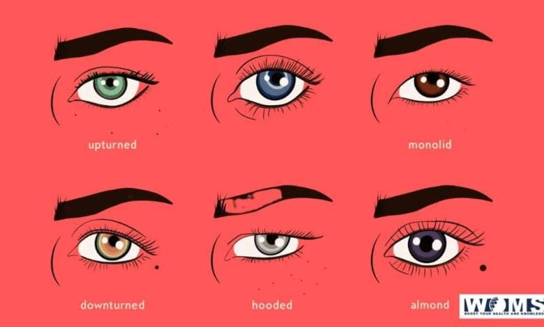 Eye Shape & Vision | Utilization of Eye Shape Chart - WOMS