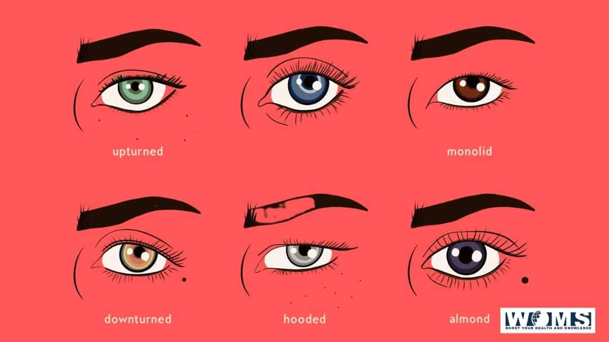 types of eye shapes pictures