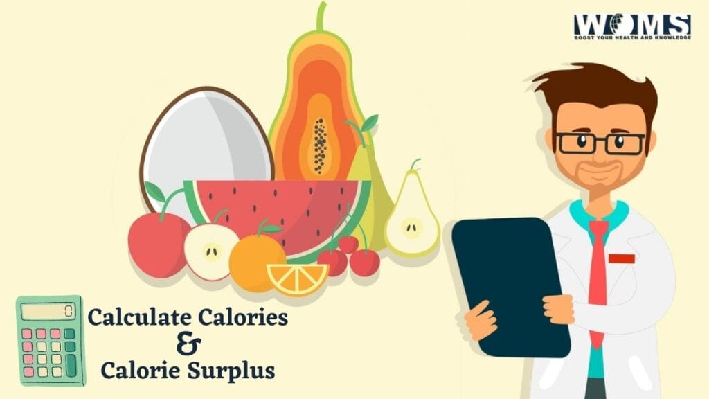 A Guide on Calorie Surplus for Gaining Muscle WOMS