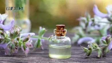 Clary Sage Oil Benefits for Hair