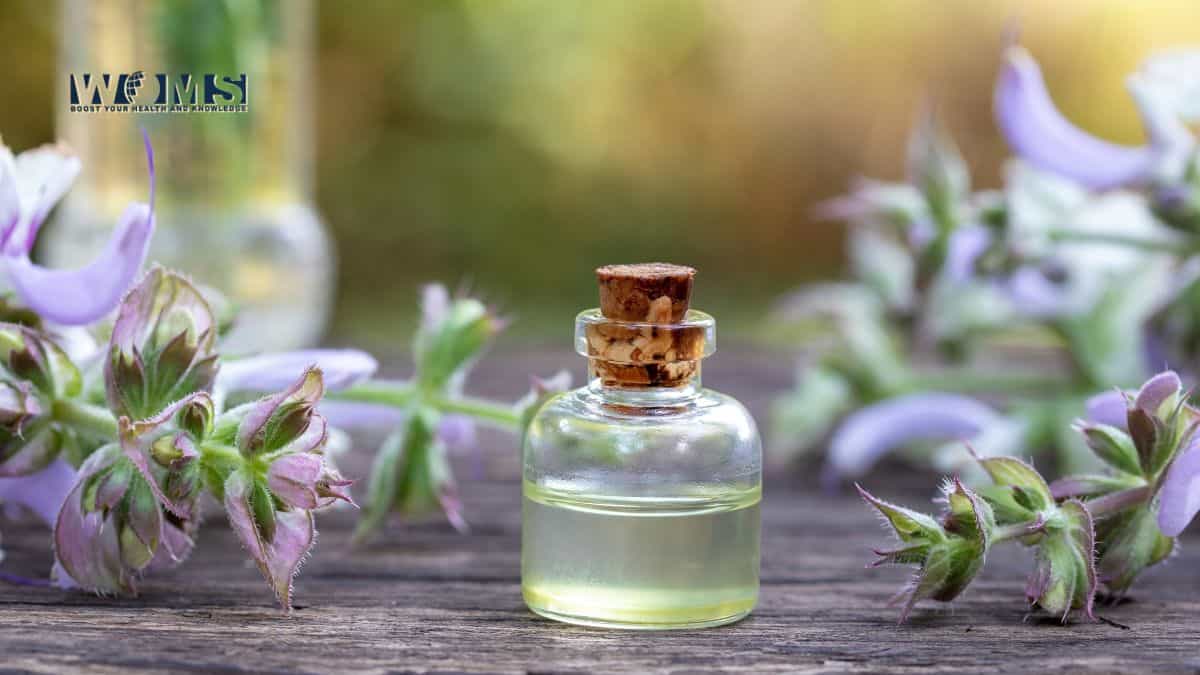 Clary Sage Oil Benefits for Hair
