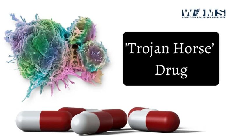 Trojan Horse drug