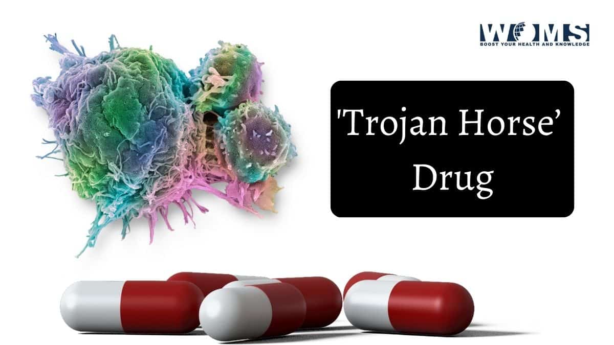 Trojan Horse drug