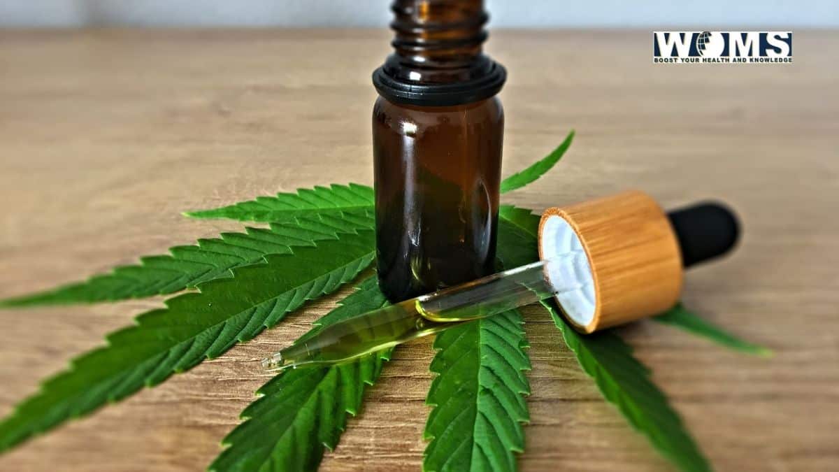 cbd oil tincture