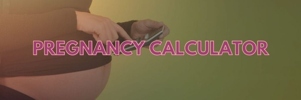 Pregnancy Calculator