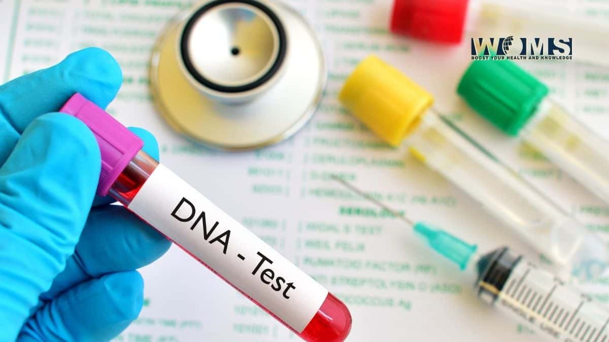 dna testing essay