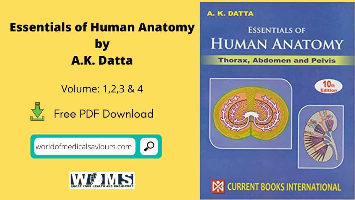 Essentials of Human Anatomy by AK Datta WOMS