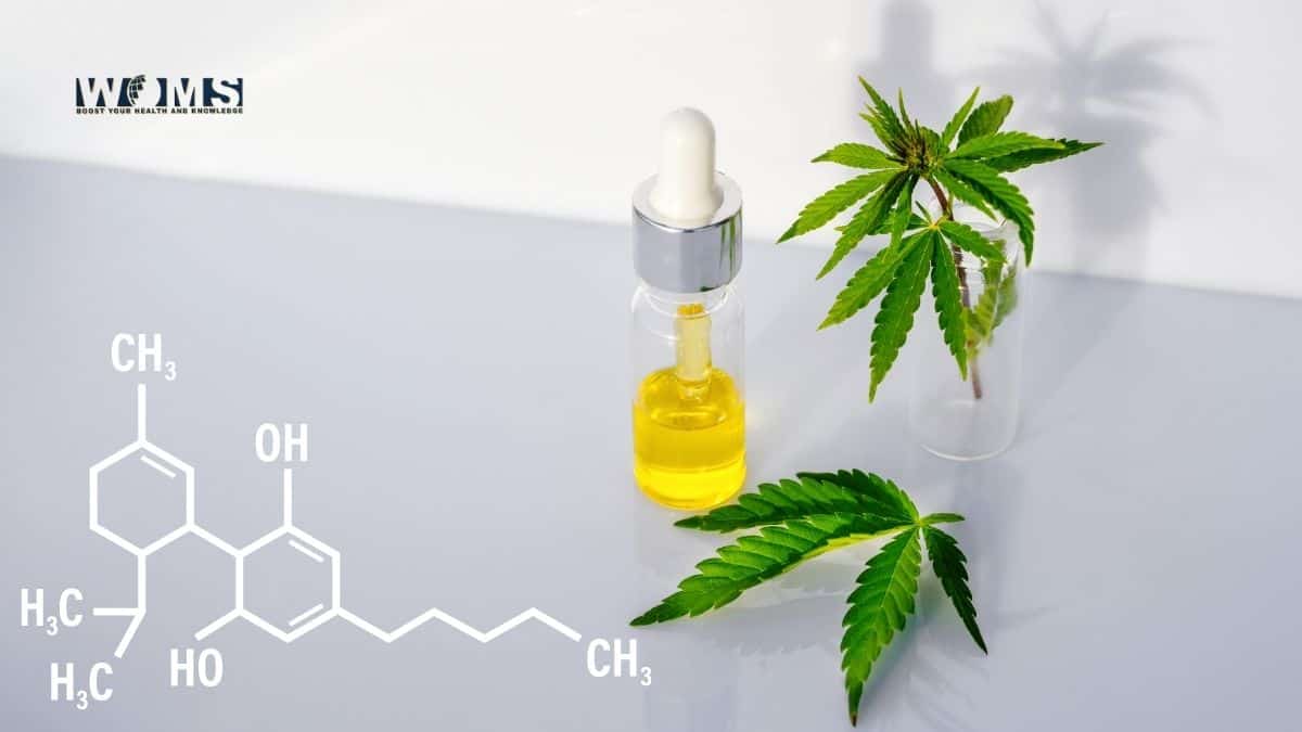 CBD Tincture