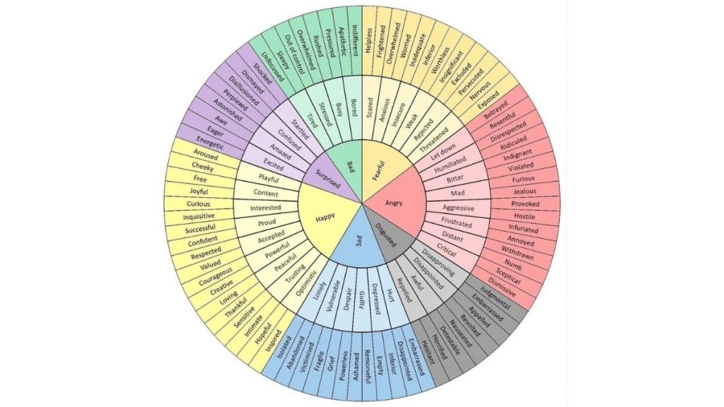 The Emotion Wheel: 8 Primary Emotion, Benefits and Use - WOMS