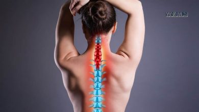 Facts About The Spine