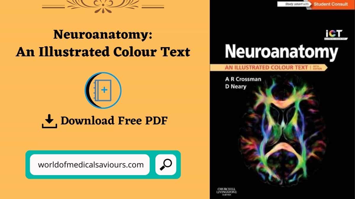 neuroanatomy an illustrated colour text free pdf download