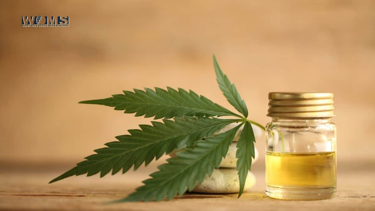 best cbd oil