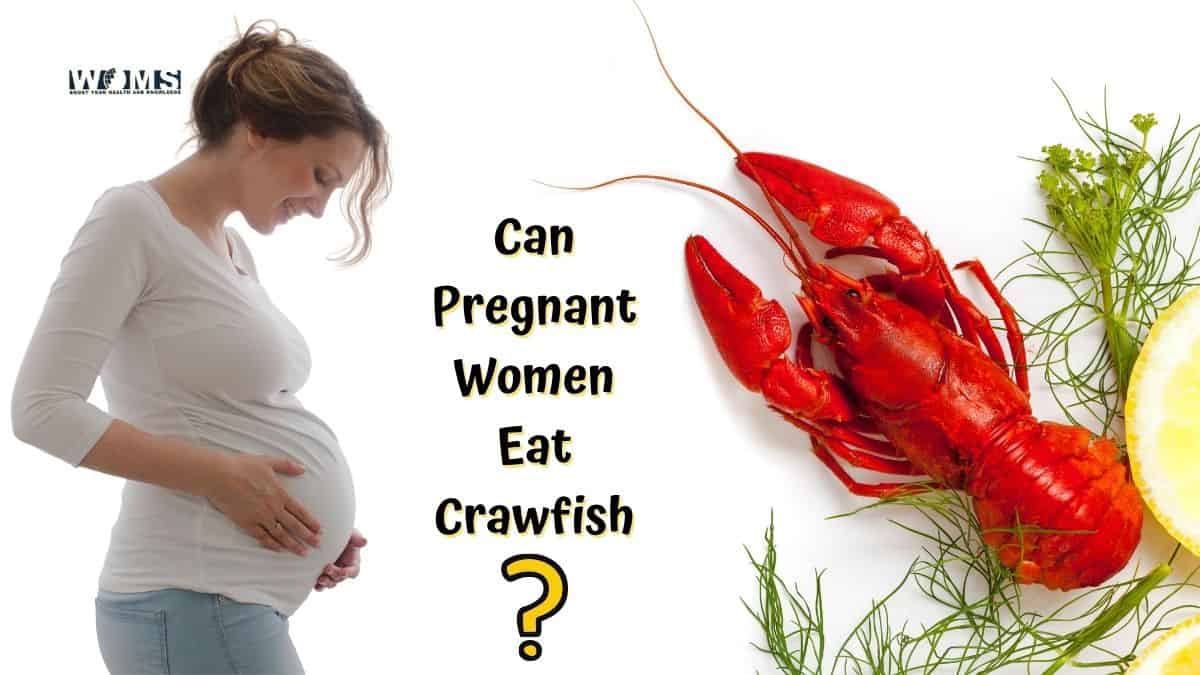 Can Pregnant Women Eat Crawfish