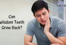 Can Wisdom Teeth Grow Back?