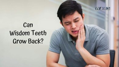 Can Wisdom Teeth Grow Back?