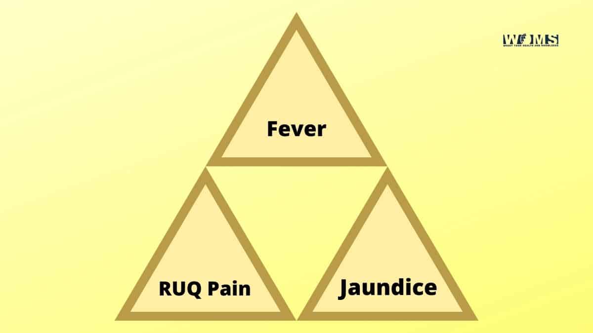 Charcot's Triad - WOMS