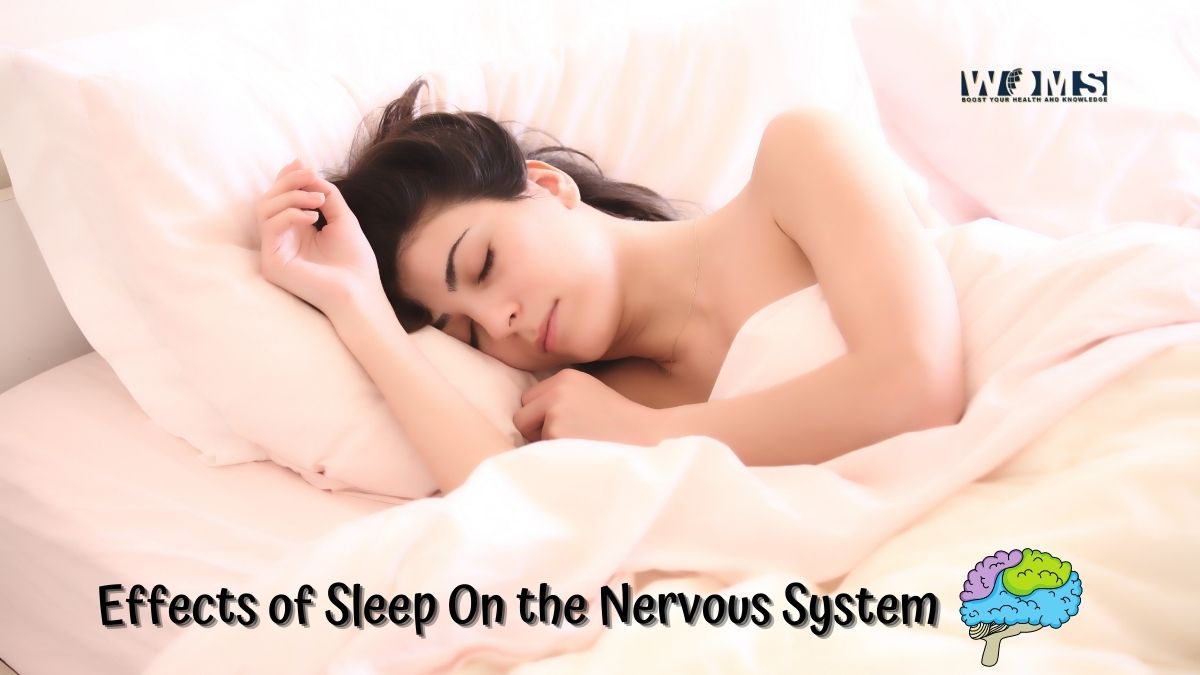 Effects of Sleep On the Nervous System