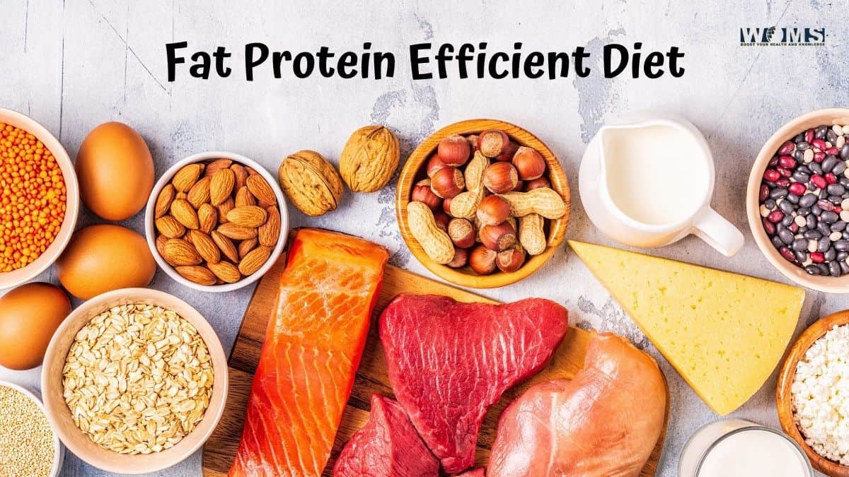 Fat Protein Efficient Diet What You Should Know WOMS