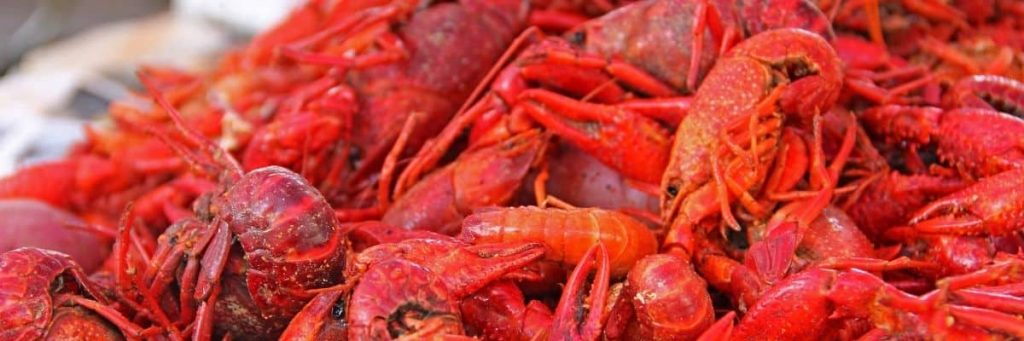 can you eat crawfish while pregnant