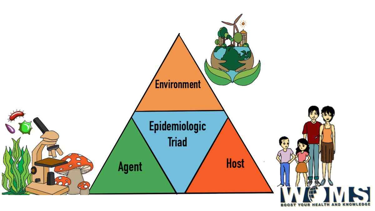 agent host and environment in epidemiology