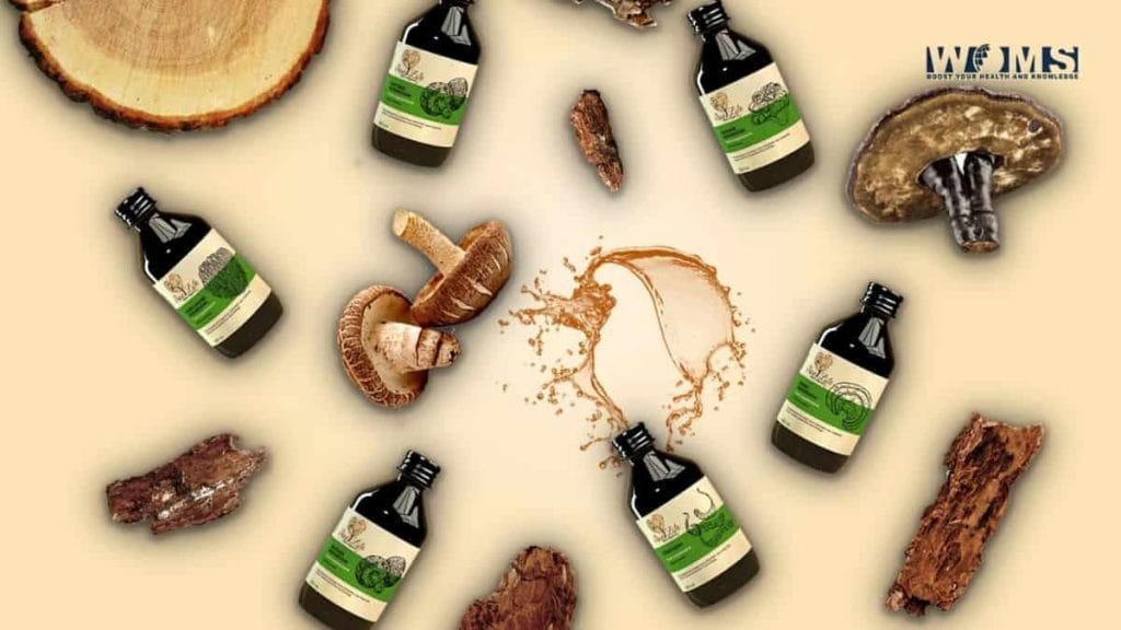 A Buyer's Guide to Mushroom Supplements 5 Top Tips WOMS