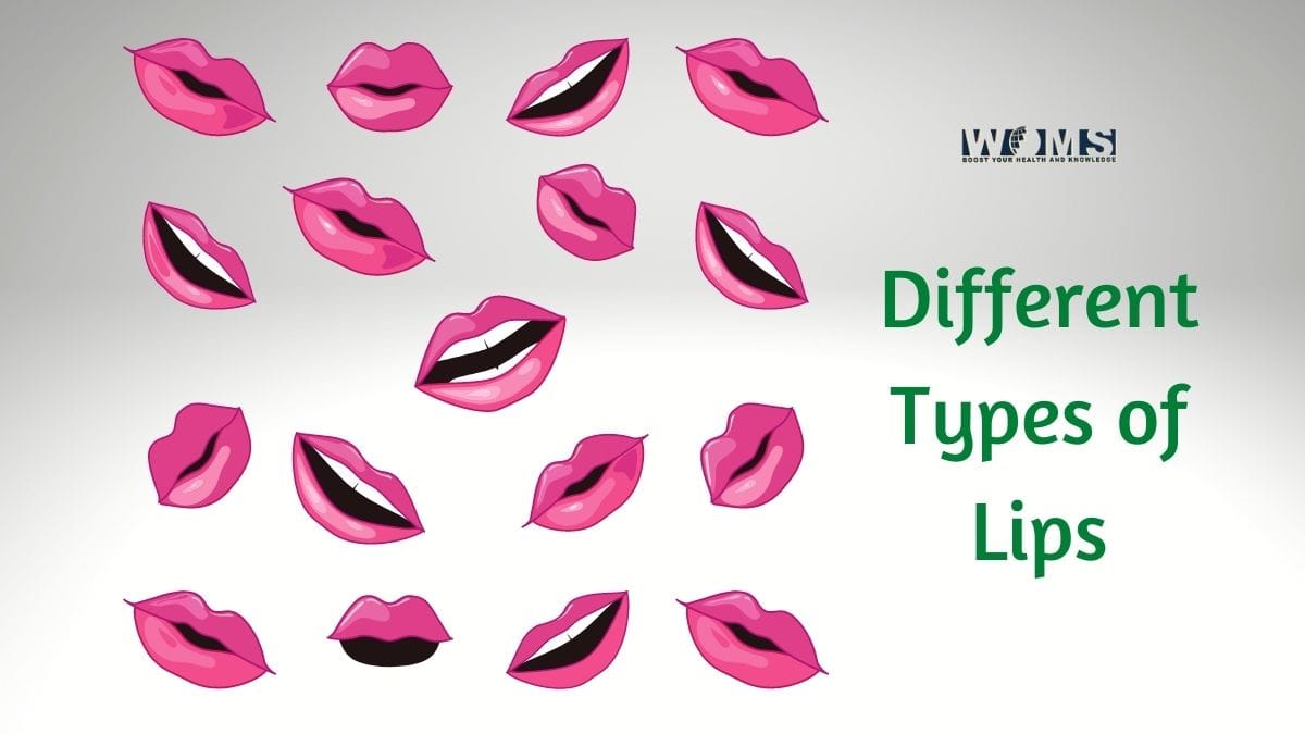 Types of Lips