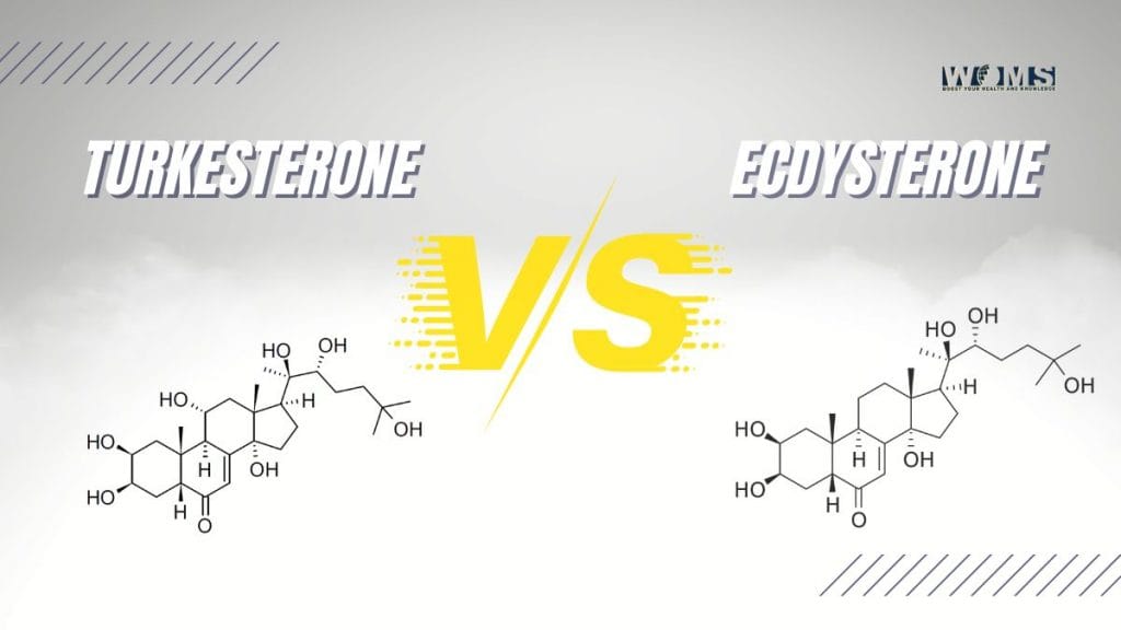Turkesterone vs Ecdysterone What is The Difference WOMS