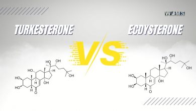 Turkesterone vs Ecdysterone