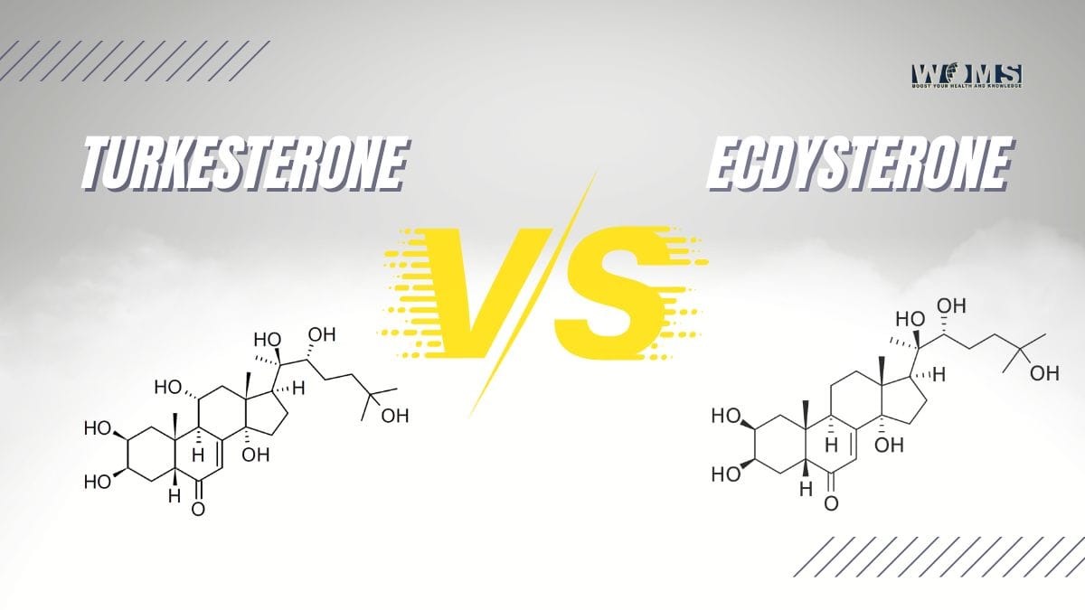 Turkesterone vs Ecdysterone