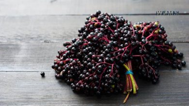 Health Benefits of Elderberry