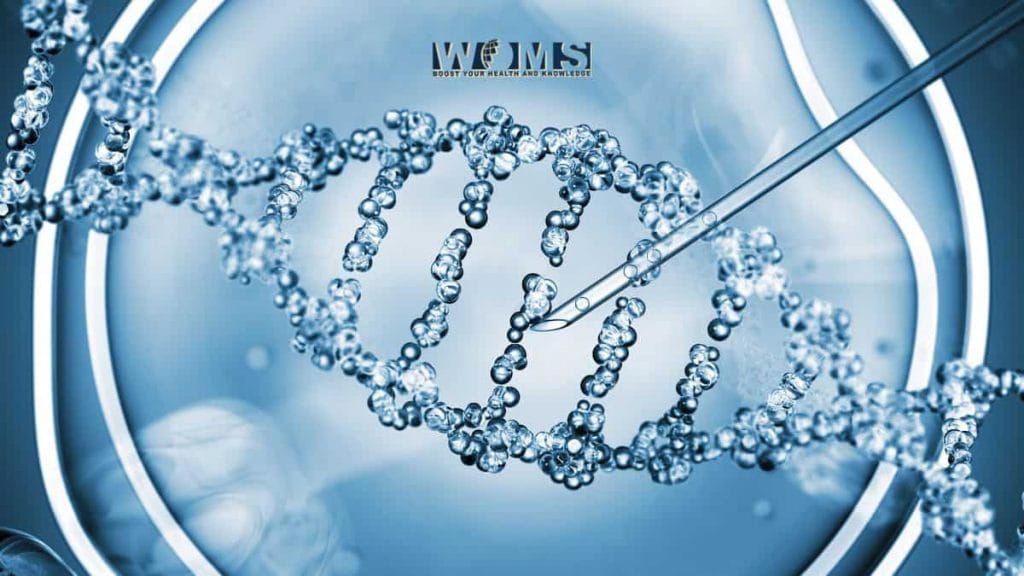 The Genetic Education - WOMS