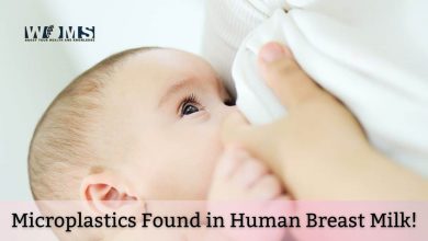 Microplastics Found in Human Breast Milk