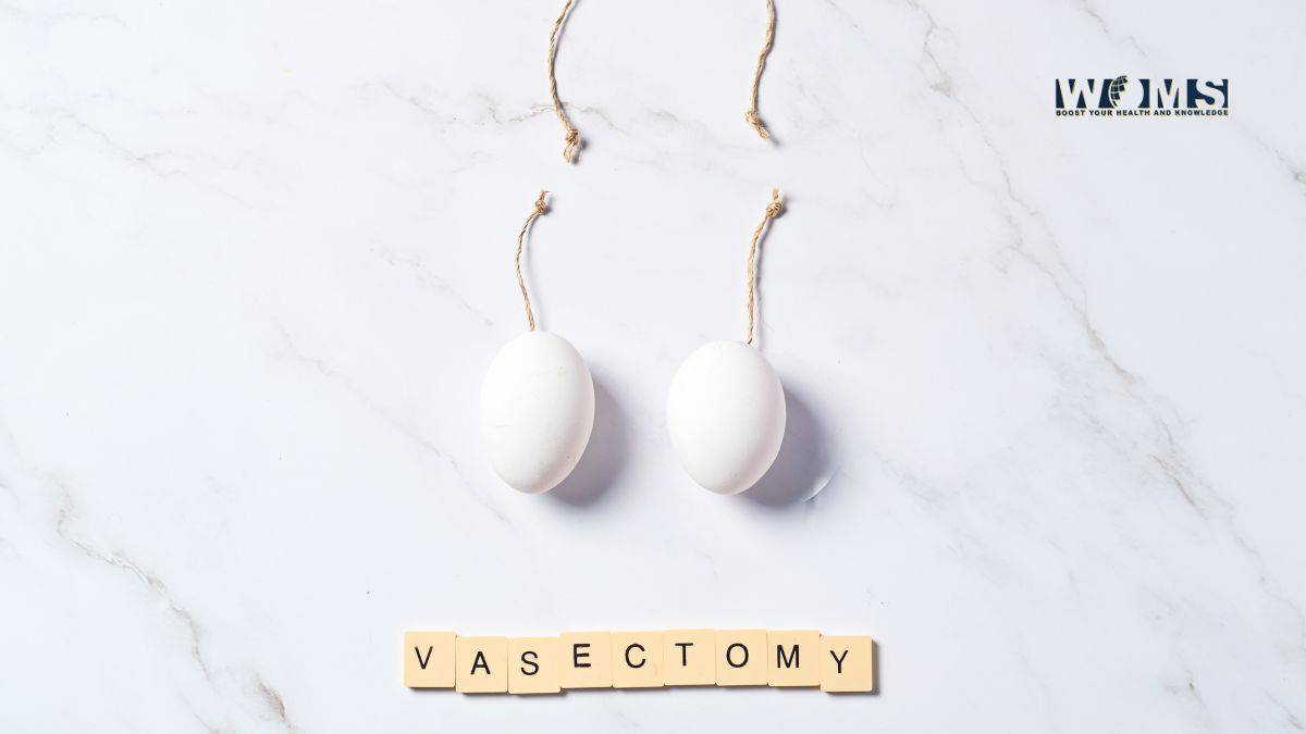 Vasectomy Reversal Surgery