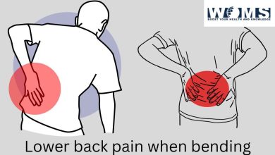 lower back pain when bending