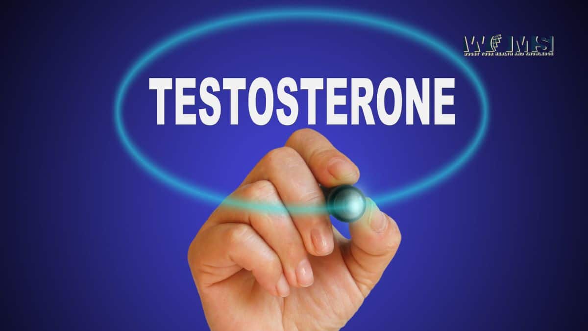 Boost Testosterone