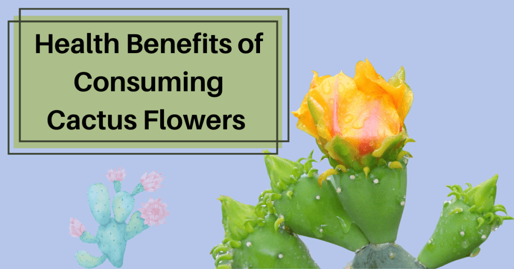 Surprising Health Benefits of Consuming Cactus Flowers - WOMS