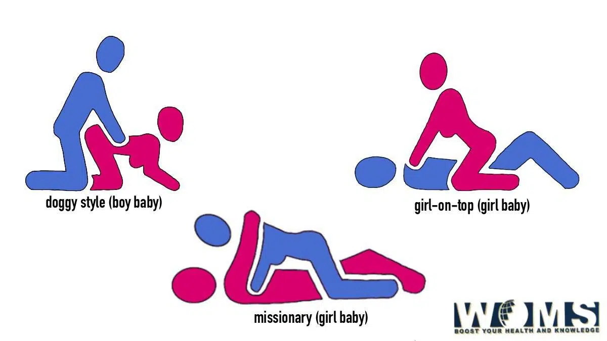 best sex positions determining gender of baby